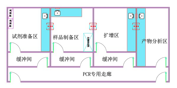 開(kāi)展新型冠狀病毒檢測(cè)的能力的實(shí)驗(yàn)室