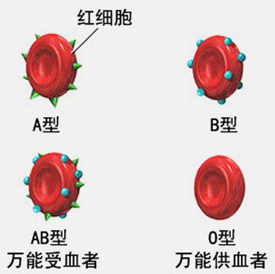圖片4.png