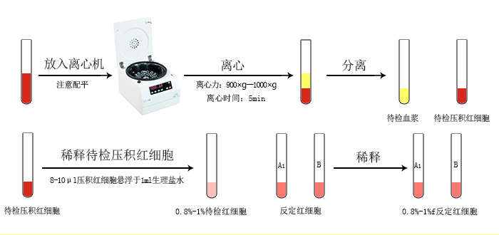 血型卡檢測(cè)樣品處理圖.jpg