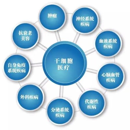 干細(xì)胞(1).jpg